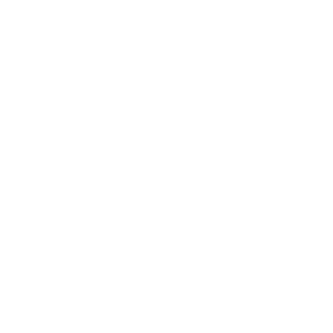 Walker Insurance Services Compass - 500 White